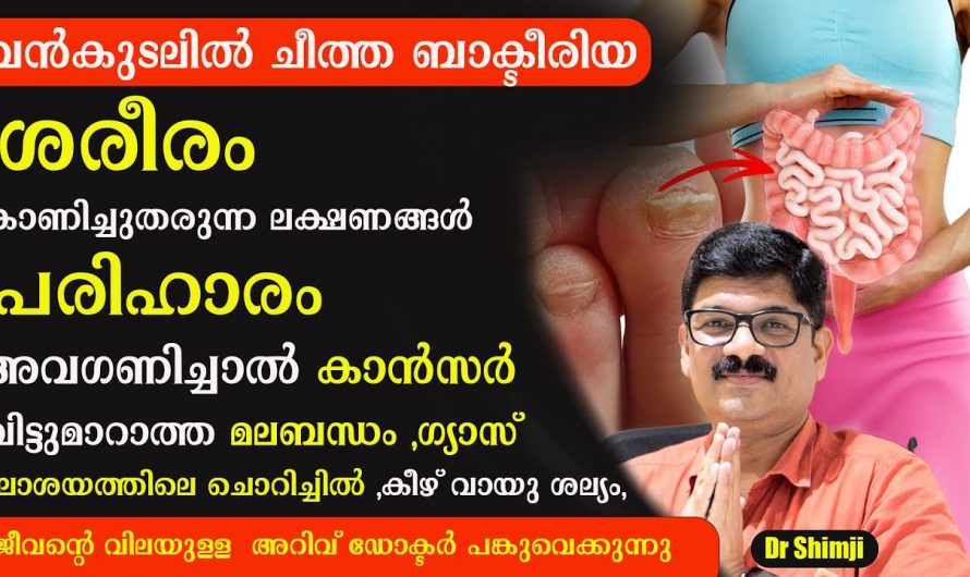 വിട്ടുമാറാത്ത ദഹന പ്രശ്നങ്ങളുടെ യഥാർത്ഥ കാരണങ്ങളെ ആരും തിരിച്ചറിയാതെ പോകരുതേ…| Bad bacteria in colon symptoms