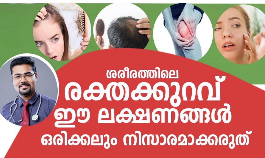 രക്തക്കുറവ് ഇനി ഈസിയായി പരിഹരിക്കാo. അതിനായി ഇത്തരം ഭക്ഷണങ്ങൾ ശീലമാക്കു മാറ്റം സ്വയം തിരിച്ചറിയൂ…| These symptoms of blood deficiency