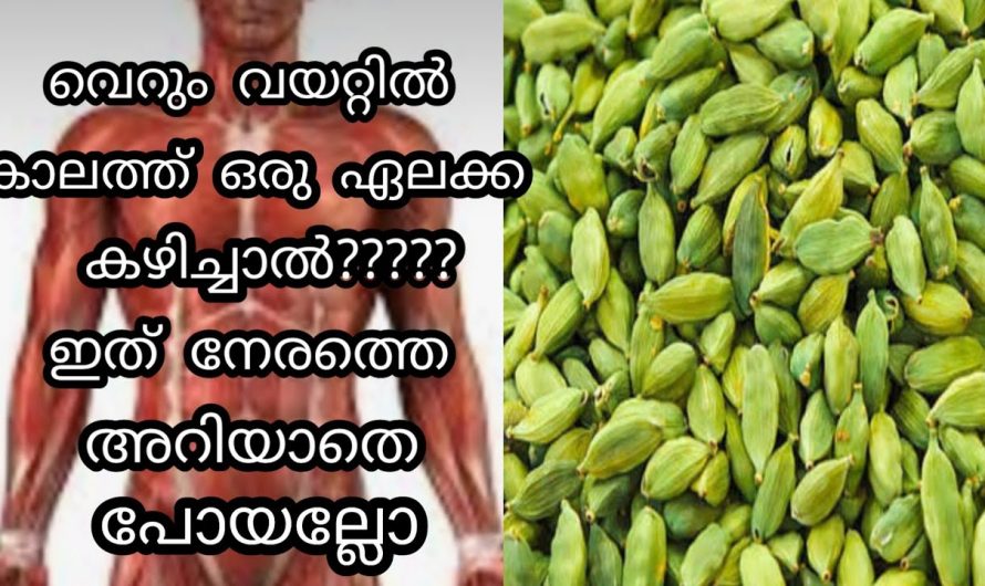 ദഹന വ്യവസ്ഥയെ ഉണർത്താൻ  ഇതിലും നല്ലൊരു ഡ്രിങ്ക് വേറെയില്ല. ഇതിന്റെ ഗുണങ്ങൾ ആരും തിരിച്ചറിയാതെ പോകല്ലേ..| Cardomom Empty Stomach Tip