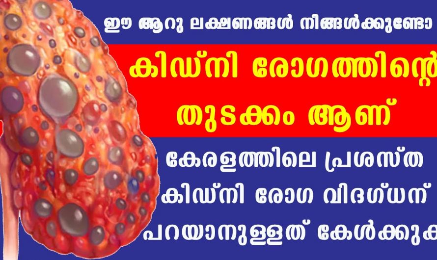 കിഡ്നി രോഗങ്ങളെ വളരെ പെട്ടെന്ന് തന്നെ തിരിച്ചറിയാൻ ഇത്തരം ലക്ഷണങ്ങൾ ആരും അറിയാതെ പോകരുതേ…| Kidney disease 6 symptoms