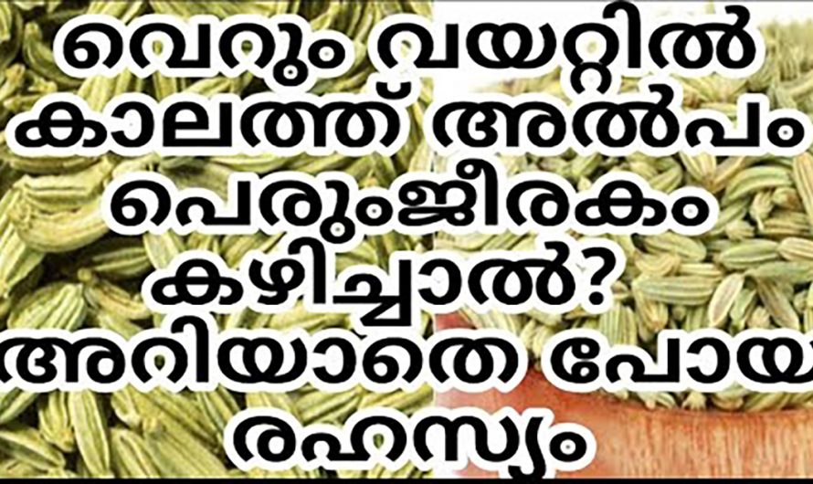 ദഹന സംബന്ധമായ പ്രശ്നങ്ങളെ പൂർണ്ണമായി ഒഴിവാക്കാൻ ഇതൊരു പിടി മതി. ഇതിന്റെ മറ്റു ഗുണങ്ങളെ ആരും അറിയാതെ പോകരുതേ…| Benefits of fennel seeds