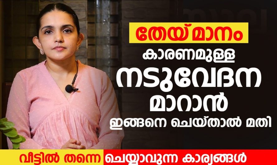 നടുവേദനയാണോ നിങ്ങളിലെ പ്രശ്നം? എങ്കിൽ പ്രതിവിധി ദാ ഇവിടെയുണ്ട്. ഇത്തരം കാര്യങ്ങൾ ആരും നിസ്സാരമായി കാണരുതേ…| Back pain home remedies