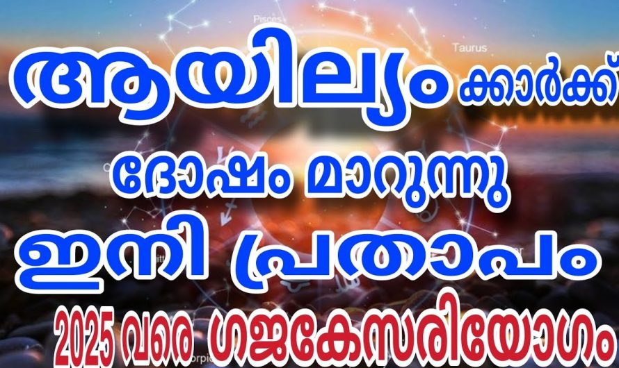 ഗജകേസരിയോഗം സ്വന്തമാക്കിയിട്ടുള്ള ഈയൊരു നക്ഷത്രത്തെക്കുറിച്ച് ആരും കാണാതെ പോകരുതേ.