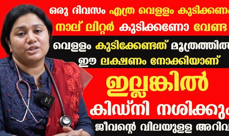 വെള്ളത്തെ മരുന്നാക്കിക്കൊണ്ട് ഇത്തരം രോഗങ്ങളെ പ്രതിരോധിക്കാം. ഇത്തരം കാര്യങ്ങൾ ആരും കണ്ടില്ല എന്ന് നടിക്കരുതേ…| Symptoms in the urine causes