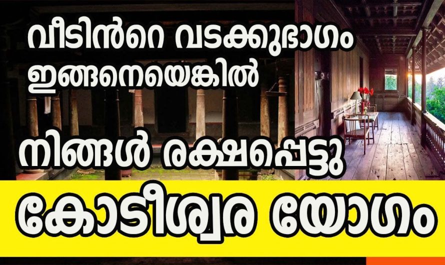 നിങ്ങളുടെ വീടിന്റെ വടക്കുവശം ഇങ്ങനെയാണോ ഉള്ളത്? എങ്കിൽ കോടീശ്വര യോഗം നിങ്ങളെ കാത്തിരിക്കുന്നു. കണ്ടു നോക്കൂ.