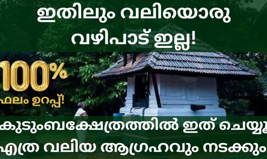 ജീവിതത്തിൽ രക്ഷ പ്രാപിക്കാൻ കുടുംബക്ഷേത്രങ്ങളിൾ ചെയ്യേണ്ട ഈ വഴിപാടിനെ കുറിച്ച് ഇതുവരെയും അറിയാതെ പോയല്ലോ ഈശ്വരാ.