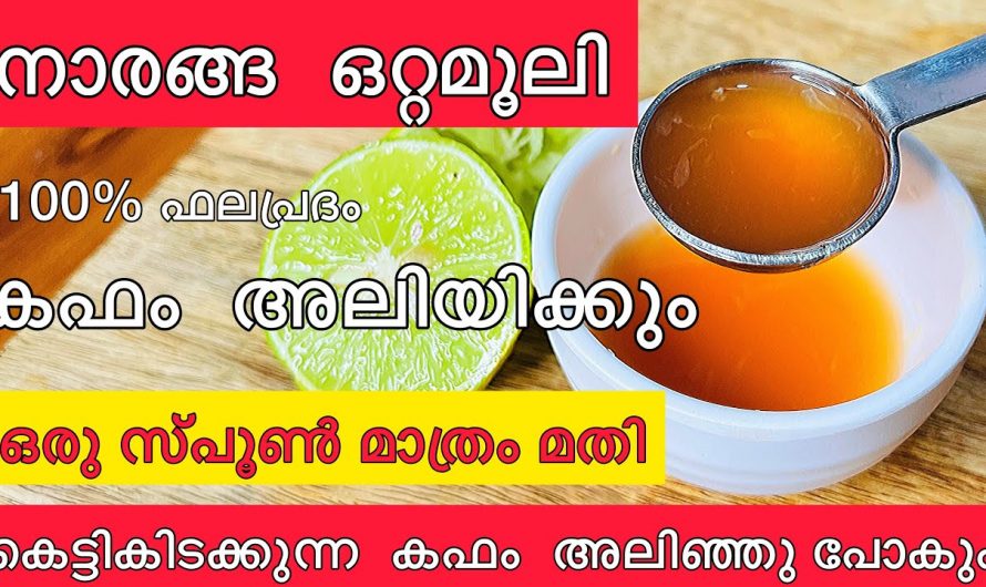 ശ്വാസകോശത്തിൽ പറ്റിപ്പിടിച്ചിരിക്കുന്ന കഫത്തെ പൂർണമായും ഇളക്കി കളയാൻ ഈയൊരു മിശ്രിത മതി. ഇതാരും നിസ്സാരമായി കാണരുതേ.