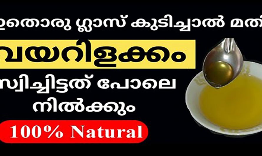 ഒരൊറ്റ യൂസില്‍ തന്നെ വയറിളക്കം മാറ്റാൻ ഇതൊരു കഷ്ണം മതി. ഇതിന്റെ ഗുണങ്ങൾ ആരും കാണാതെ പോകരുതേ…| Loose Motion Treatment Malayalam