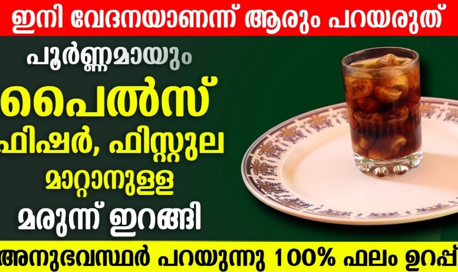 വേദനാജനകമായ പൈൽസിനെ പെട്ടെന്ന് മാറ്റാൻ ഇത് മാത്രം മതി.  ഇതാരും നിസാരമായി കാണല്ലേ…| Piles Treatment at Home