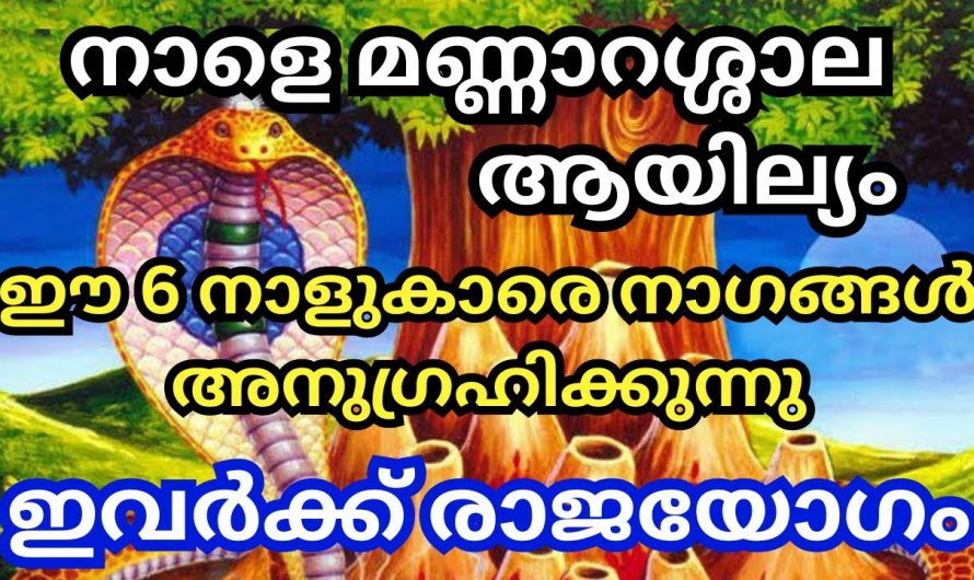 നാഗദേവതകളുടെ അനുഗ്രഹത്താൽ ജീവിതത്തിൽ ഉയർച്ചകൾ ഉണ്ടാകാൻ പോകുന്ന ഈ നക്ഷത്രക്കാരെ കുറിച്ച് ആരും കാണാതെ പോകരുതേ.
