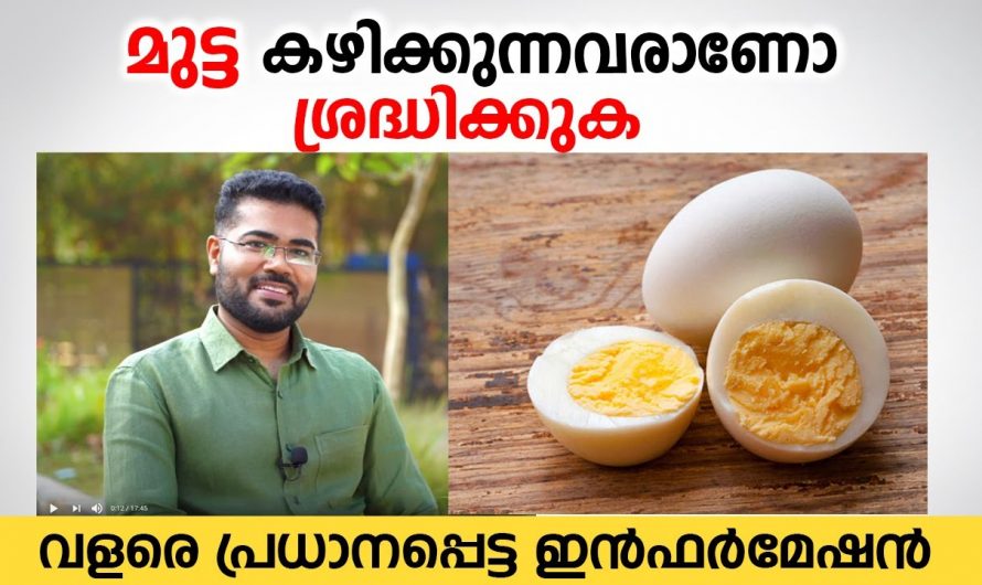 മുട്ട കഴിക്കുന്നവരാണോ നിങ്ങളെങ്കിൽ ഇത്തരം കാര്യങ്ങൾ ആരും അറിയാതെ പോകരുതേ…| Health Benefits of Eggs