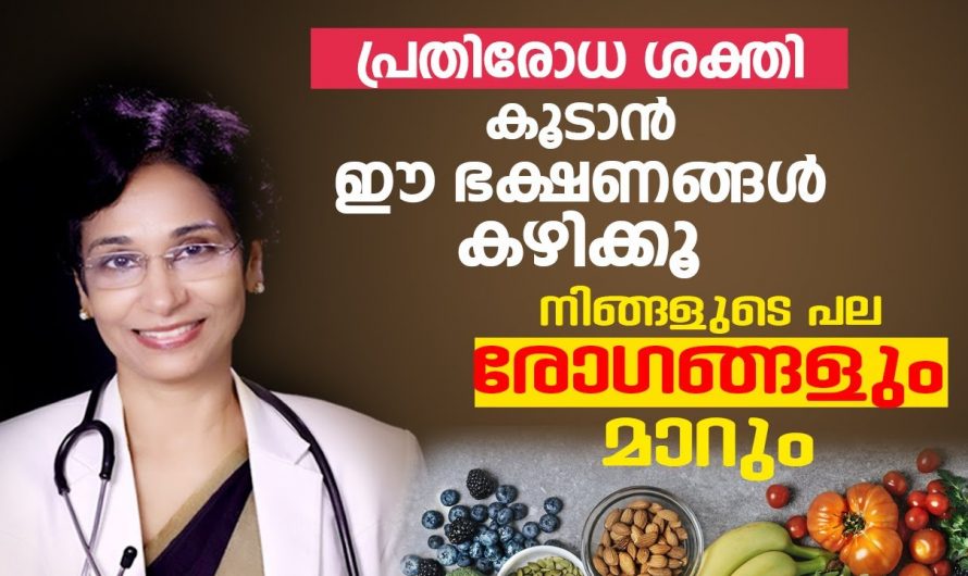 പ്രതിരോധ സംവിധാനത്തെ ശക്തിപ്പെടുത്തുവാൻ കഴിക്കേണ്ട ഭക്ഷണങ്ങളെക്കുറിച്ച് ഇതുവരെയും അറിയാതെ പോയല്ലോ. കണ്ടു നോക്കൂ…| Autoimmune Diseases Diet