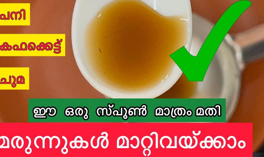 എത്ര വലിയ ചുമയെയും കഫം കെട്ടിനെയും അകറ്റാൻ ഈയൊരു ഇല മതി. ഇതിന്റെ ഗുണങ്ങൾ ആരും അറിയാതെ പോകല്ലേ.