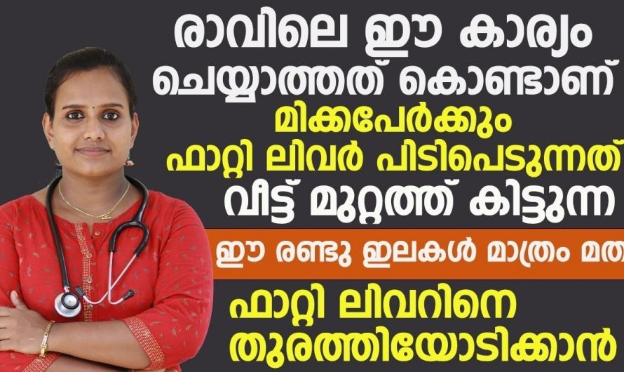 എത്ര കൂടിയ ലിവർ ഫാറ്റിനെയും കുറയ്ക്കാൻ ഇത്തരം ഭക്ഷണങ്ങൾ ശീലമാക്കൂ. ഇതാരും കാണാതെ പോകരുതേ…| Fatty liver causes and prevention