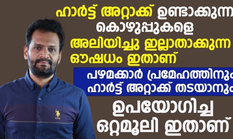 ഹൃദയാരോഗ്യം മെച്ചപ്പെടുത്താനും ഹൃദ്രോഗങ്ങളെ കുറയ്ക്കുവാനും ഇതിനുള്ള കഴിവ് മറ്റൊന്നിനും ഇല്ല. കണ്ടു നോക്കൂ…| Heart attack symptoms and prevention