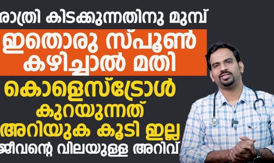 ഇത് ഒരു സ്പൂൺ കഴിച്ചാൽ എത്ര കൂടിയ കൊളസ്ട്രോളിനെയും കുറയുന്നത് അറിയുകയില്ല