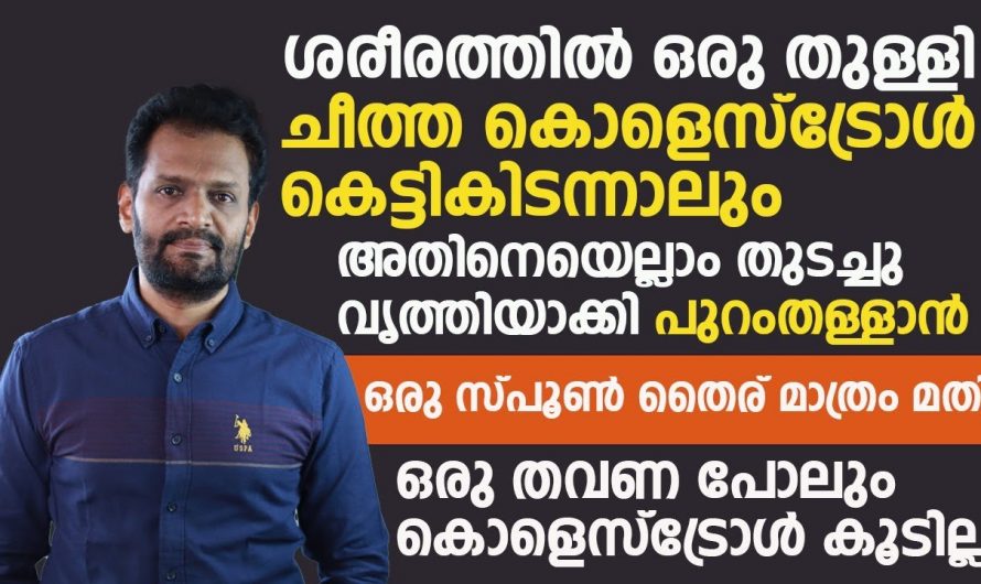 ശരീരത്തിൽ നല്ല കൊളസ്ട്രോൾ വർദ്ധിപ്പിക്കുന്നതിന് കഴിക്കേണ്ട ഇത്തരം ഭക്ഷണങ്ങളെ ആരും തിരിച്ചറിയാതെ പോകരുതേ.