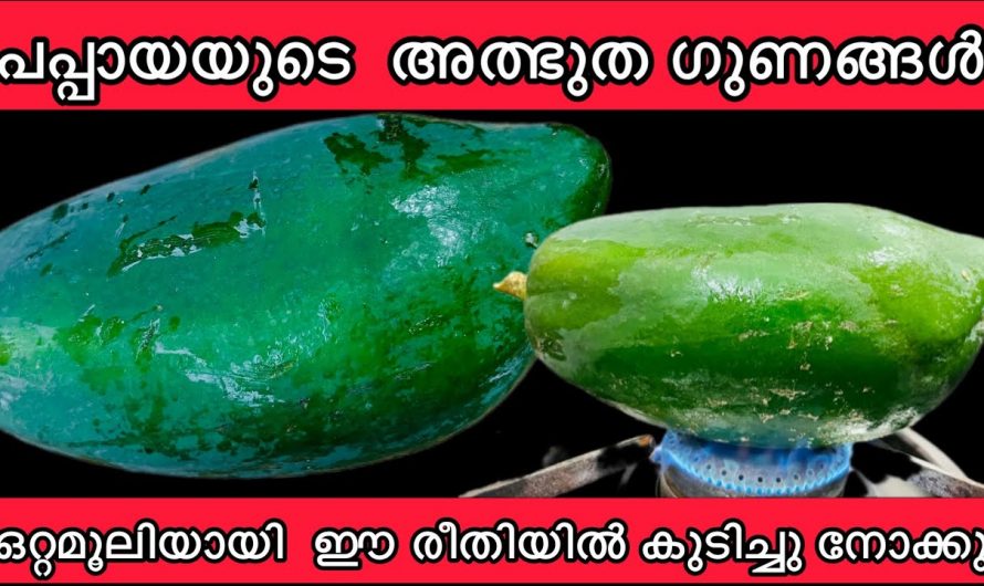 യൂറിക്കാസിഡ് മൂലം ഉണ്ടാകുന്ന വേദനകളെ മറികടക്കാൻ ഇതിനുള്ള കഴിവ് മറ്റൊന്നിനുമില്ല. ഇതിന്റെ ഗുണങ്ങളെ ആരും തിരിച്ചറിയാതെ പോകല്ലേ…| Amazing benefits of papaya