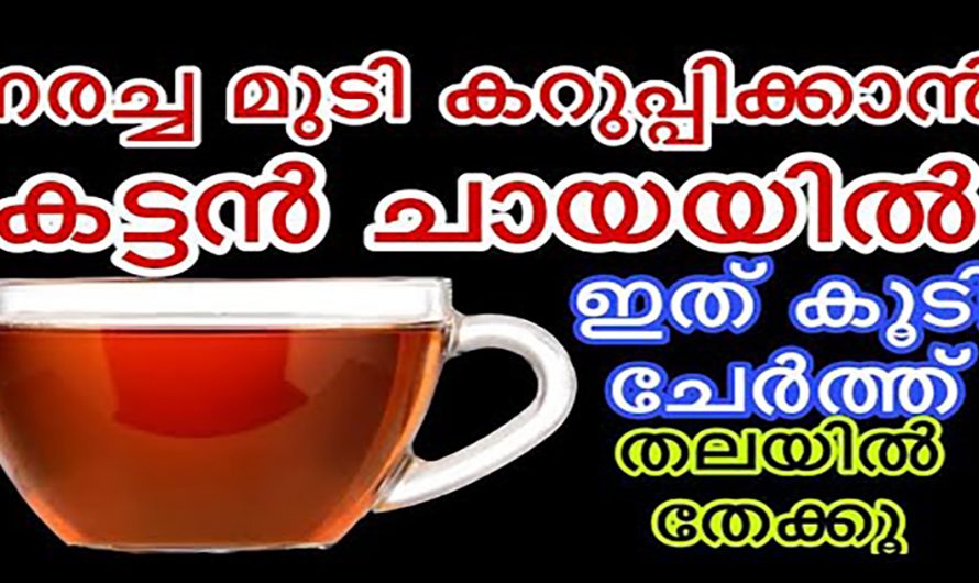 അകാല നരയെ മറികടക്കാൻ ഇത്രയ്ക്ക് എളുപ്പമായിരുന്നോ? ഇതാരും നിസ്സാരമായി കാണരുതേ.