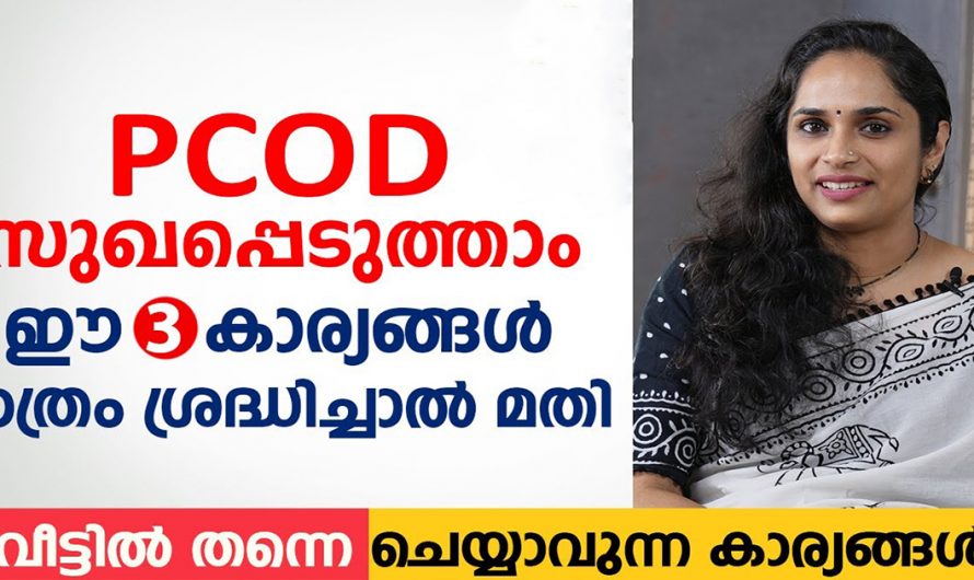 പിസിഓടിയെ മറികടക്കാൻ ഇത്തരം കാര്യങ്ങൾ ആരും  തിരിച്ചറിയാതെ പോകരുതേ…| PCOD Home Remedies