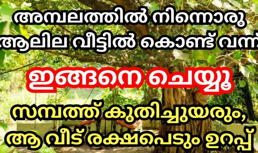 ഒരു മനുഷ്യായുസ്സിൽ നേടേണ്ട എല്ലാ കാര്യവും നേടിയെടുക്കാൻ ഇത് ചെയ്യൂ. മാറ്റം സ്വയം തിരിച്ചറിയൂ.