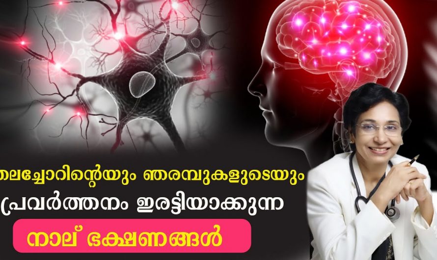 ഞരമ്പുകളുടെ പ്രവർത്തനം സുഖകരമാക്കാൻ കഴിക്കേണ്ട ഭക്ഷണങ്ങളെ കുറിച്ച് ആരും കാണാതെ പോകല്ലേ.