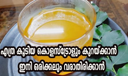 Effective Home Remedy For Cholesterol