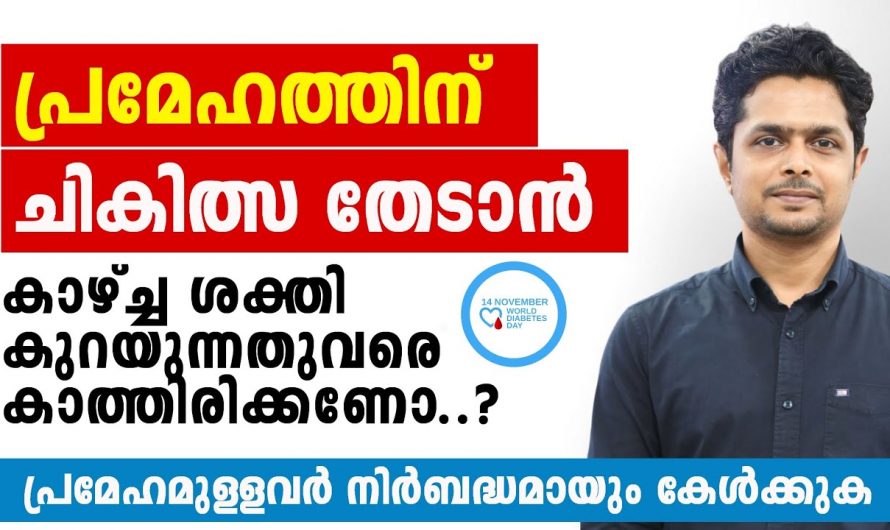 മരുന്നുകളെ ആശ്രയിക്കാതെ തന്നെ എത്ര വലിയ ഷുഗറിനെയും വരുതിയിലാക്കാം. ഇതാരും അറിയാതെ പോകല്ലേ…| Diabetes Control Tips