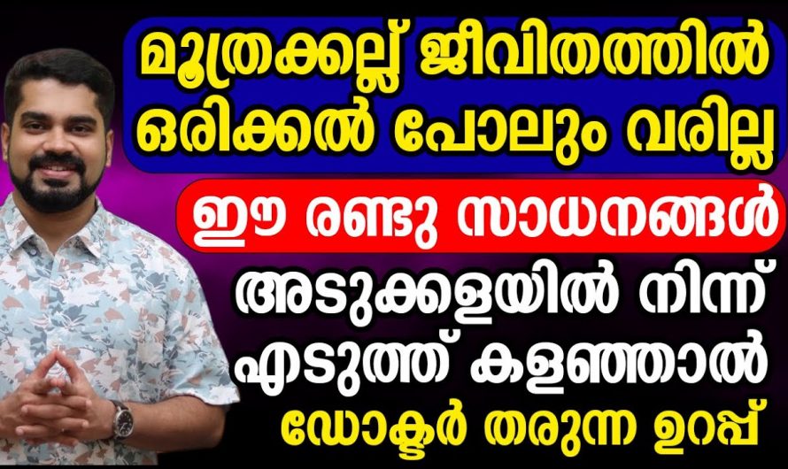 മൂത്രത്തിൽ കല്ലിനെ ശരീരം പ്രകടമാക്കുന്ന ഇത്തരം ലക്ഷണങ്ങളെ ആരും തിരിച്ചറിയാതെ പോകരുതേ…| Urinary stone treatment