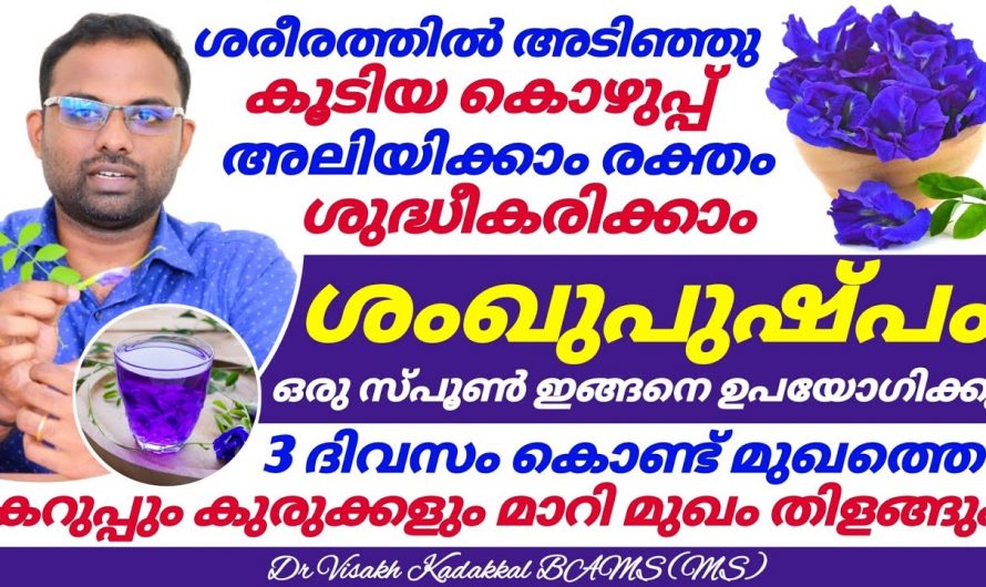 തലച്ചോറിന്റെ ആരോഗ്യം വർദ്ധിപ്പിക്കാനും കൊളസ്ട്രോളിന് കുറയ്ക്കാനും ഈ ഒരു പൂവ് മതി. ഇതിന്റെ ഗുണങ്ങൾ ആരും നിസ്സാരമായി കാണരുതേ.