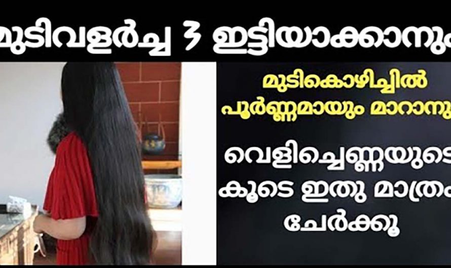 ഇടത്തൂർന്ന കട്ടിയുള്ള മുടികൾക്ക് ഇനി ഇതൊരു അല്പം മതി. ഇതുവഴി ഉണ്ടാകുന്ന നേട്ടങ്ങൾ ആരും തിരിച്ചറിയാതെ പോകരുതേ…| Hair growth tips at home