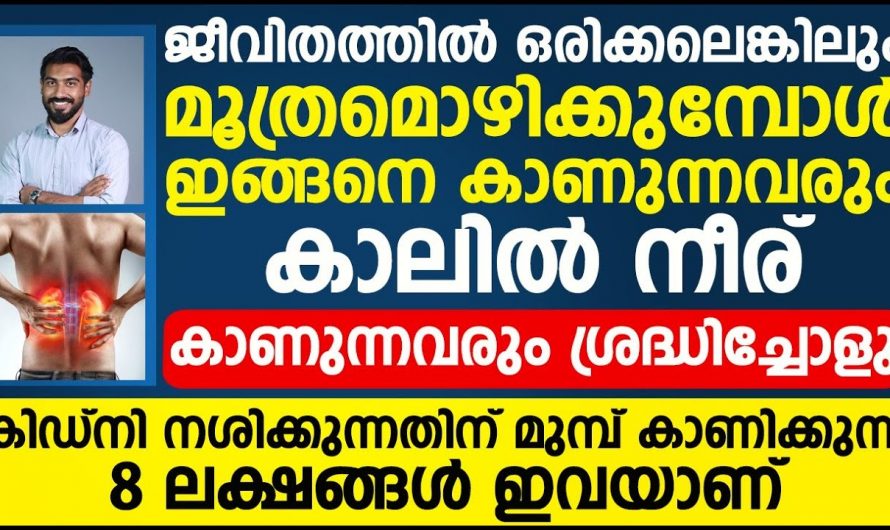 മൂത്രമൊഴിക്കുമ്പോൾ രക്തത്തിന്റെ അംശം കാണാറുണ്ടോ? എങ്കിൽ ഇതാരും തിരിച്ചറിയാതെ പോകല്ലേ.