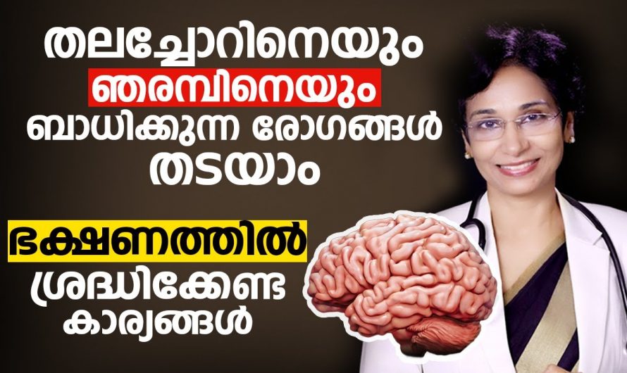 തലച്ചോറിന്റെ ആരോഗ്യം വർദ്ധിപ്പിക്കാൻ കഴിക്കേണ്ട ഭക്ഷണങ്ങളെക്കുറിച്ച് ഇതുവരെയും അറിയാതെ പോയല്ലോ…| Brain & Nerve Disease