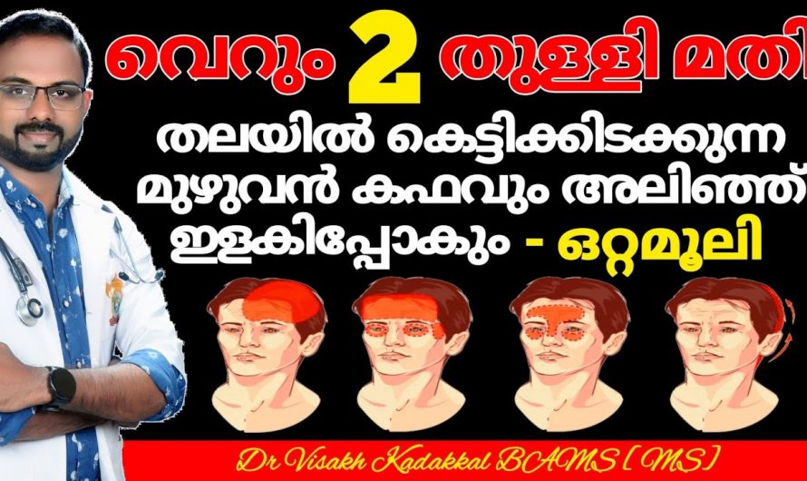 കെട്ടിക്കിടക്കുന്ന കഫത്തെ അലിയിക്കാൻ ഇത് രണ്ടു തുള്ളി മതി. ഇതാരും നിസ്സാരമായി കാണരുതേ…| Kapham Treatment in Malayalam