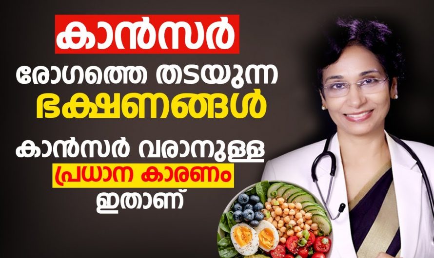 ക്യാൻസറിനെ തടയാൻ കഴിക്കേണ്ട ഭക്ഷണങ്ങളെക്കുറിച്ച് ആരും അറിയാതെ പോകല്ലേ…| Cancer and food habits