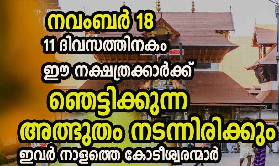 ഒന്നുമില്ലായ്മയിൽ നിന്ന് എല്ലാം നേടിയെടുക്കാൻ സാധിക്കുന്ന നക്ഷത്രക്കാരെ ആരും കണ്ടില്ലെന്ന് നടിക്കരുതേ.