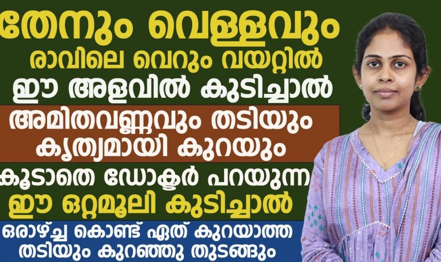 കൊഴുപ്പുകളെ ശരീരത്തിൽ നിന്ന് തുടച്ചുനീക്കാൻ കഴിക്കേണ്ട ഭക്ഷണങ്ങളെ ഇതുവരെയും അറിയാതെ പോയല്ലോ.