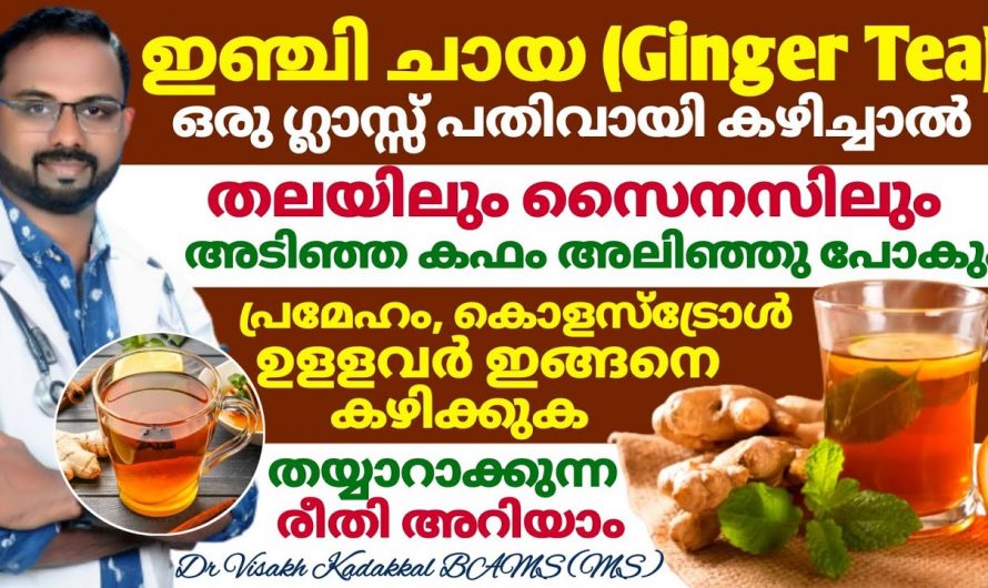 കൊളസ്ട്രോൾ ഷുഗർ കഫം രക്തസമ്മർദ്ദം എന്നിവയെ മറികടക്കാൻ ഈ ഒരു ചായ മതി. ഇതാരും തിരിച്ചറിയാതെ പോകല്ലേ.