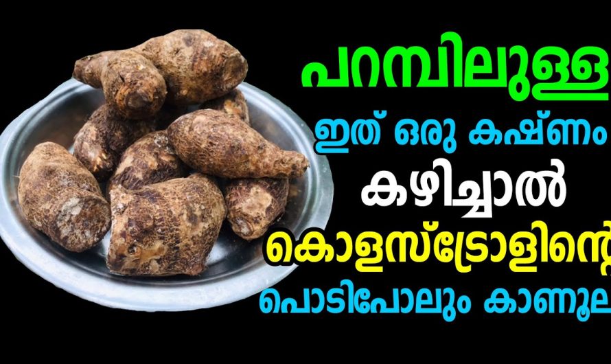 ശരീരഭാരം വർധിപ്പിക്കാനും കൊളസ്ട്രോളിന് കുറയ്ക്കാനും ഇതൊരെണ്ണം മതി. ഇതാരും നിസ്സാരമായി കാണരുതേ…| Taro eating benefits