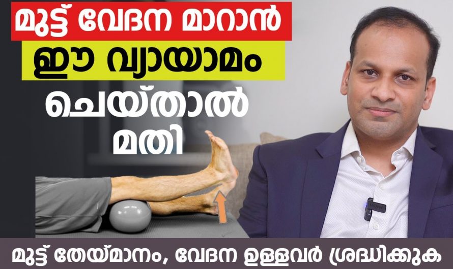 വ്യായാമത്തിലൂടെ മുട്ടുവേദനയെ മറികടക്കാo. ഇതാരും നിസ്സാരമായി തള്ളിക്കളയരുതേ…| Exercise to relieve knee pain