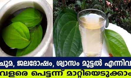 Home Remedy For Cough Cold