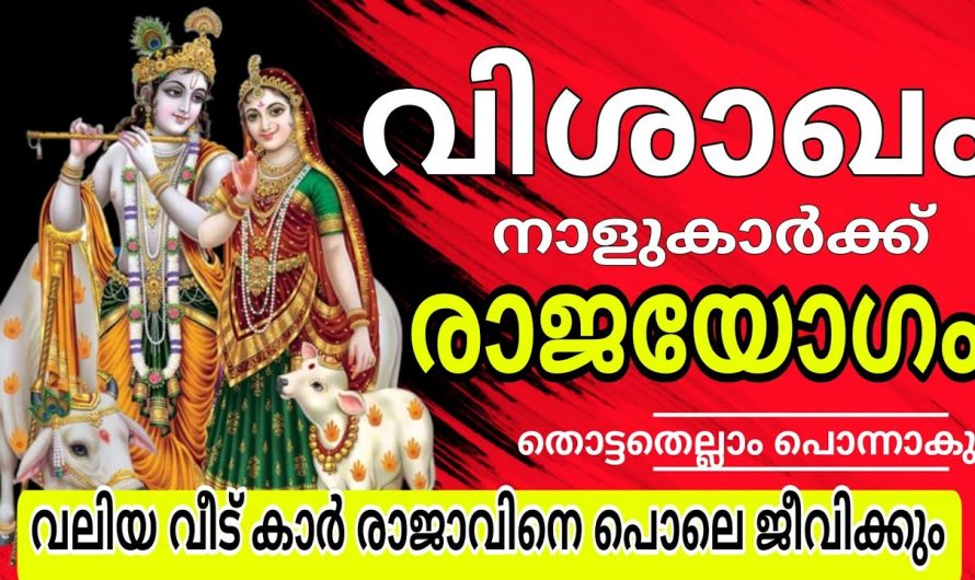 ഒരു വർഷക്കാലം മുഴുവൻ രാജയോഗം നേടിയിരിക്കുന്ന ഈ നക്ഷത്രത്തെക്കുറിച്ച് ഇതുവരെയും അറിയാതെ പോയല്ലോ.