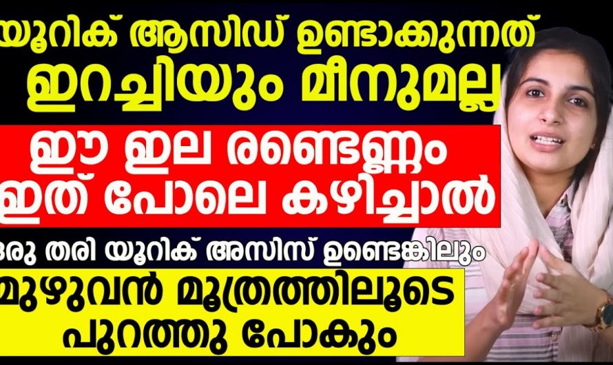 ഒരുതരി യൂറിക്കാസിഡിനെ പോലും അവശേഷിക്കാതെ പുറന്തള്ളാൻ ഈ ഒരു ഇല മതി. ഇതാരും നിസ്സാരമായി കാണല്ലേ…| Uric acid natural treatment