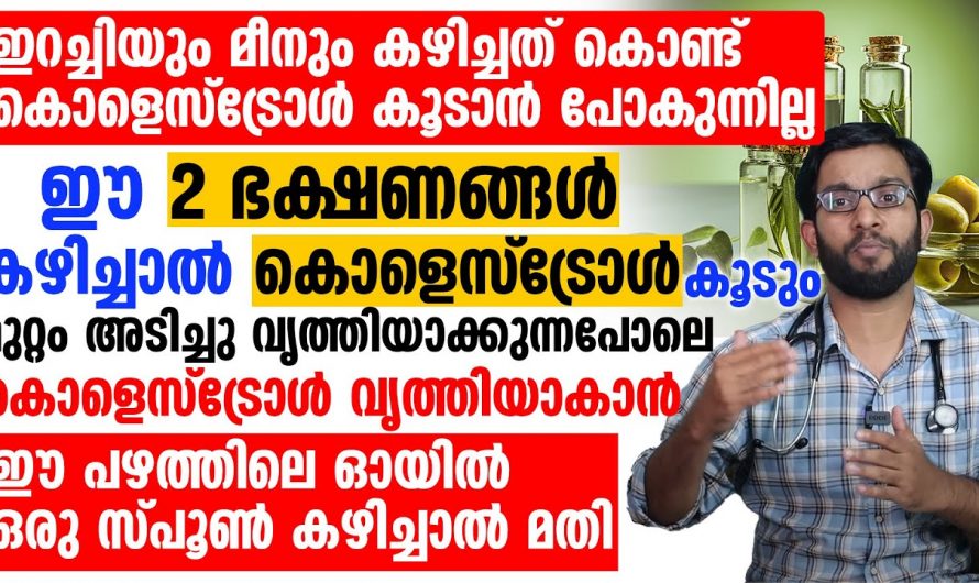 ശരീരത്തിൽ കൊളസ്ട്രോൾ കൂട്ടുന്ന ഇത്തരം ഭക്ഷണങ്ങളെ ആരും തിരിച്ചറിയാതെ പോകരുതേ.