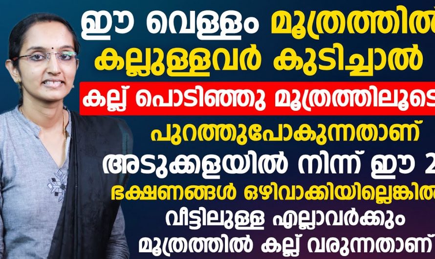 കിഡ്നി സ്റ്റോണിനെ ശരീരം കാണിക്കുന്ന ലക്ഷണങ്ങളെ ആരും അറിയാതെ പോകല്ലേ…| Kidney stone causes food