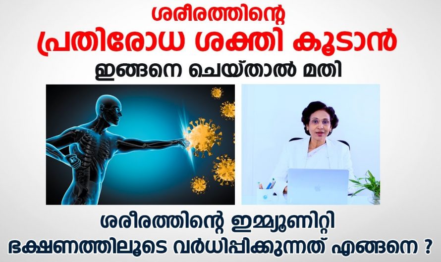 പ്രതിരോധശേഷിയെ ദിനംപ്രതി വർദ്ധിപ്പിക്കാൻ ചെയ്യേണ്ട കാര്യങ്ങളെക്കുറിച്ച് ഇതുവരെയും അറിയാതെ പോയല്ലോ…| Immunity boosting methods