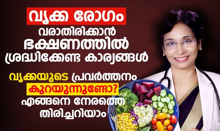 കിഡ്നിയുടെ ആരോഗ്യം ഉറപ്പുവരുത്താൻ കഴിക്കേണ്ട ഭക്ഷണങ്ങളെക്കുറിച്ച് ആരും അറിയാതെ പോകല്ലേ…| Kidney Disease Malayalam