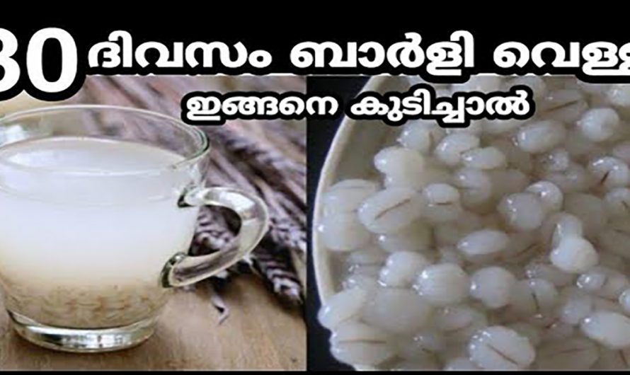 കിഡ്നിയുടെ ആരോഗ്യം പതിന്മടങ്ങ് വർദ്ധിപ്പിക്കാൻ ഇതൊരു പിടി  മതി. ഇതാരും നിസാരമായി തള്ളിക്കളയരുതേ.