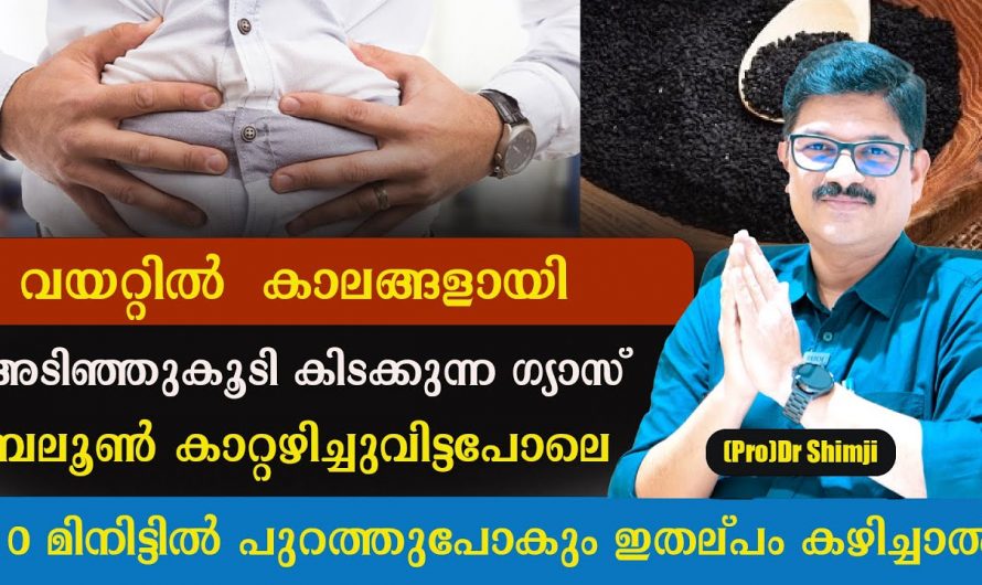 ഗ്യാസ്ട്രബിൾ വിടാതെ നിങ്ങളെ പിന്തുടരുന്ന രോഗാവസ്ഥയാണോ? ഇതാരും അറിയാതെ പോകല്ലേ…| Gas trouble home remedies in malayalam