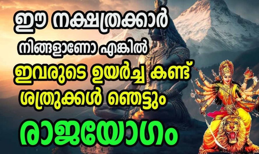 ജീവിതത്തിൽ വാനോളം ഉയരാൻ കഴിയുന്ന നക്ഷത്രക്കാരെ ഇരുവരെയും അറിയാതെ പോയല്ലോ.